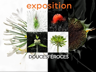  - Exposition Feroces-Douces