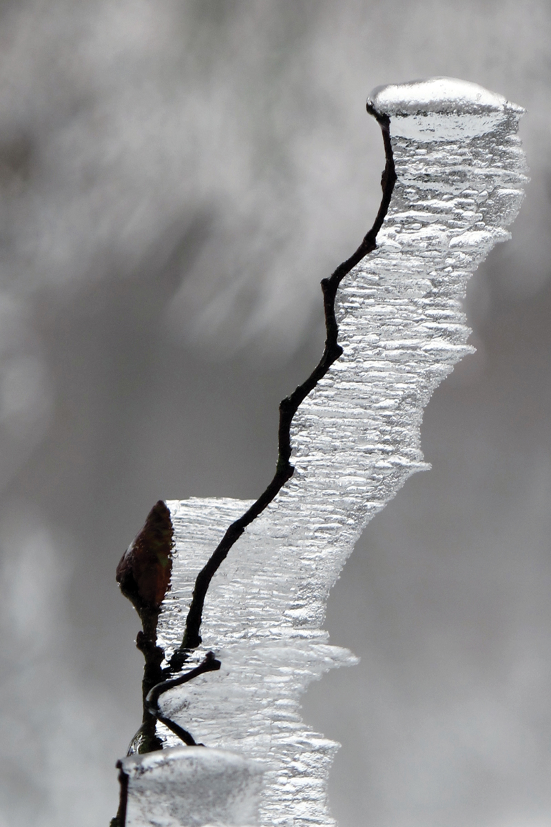 BLANC DE GIVRE