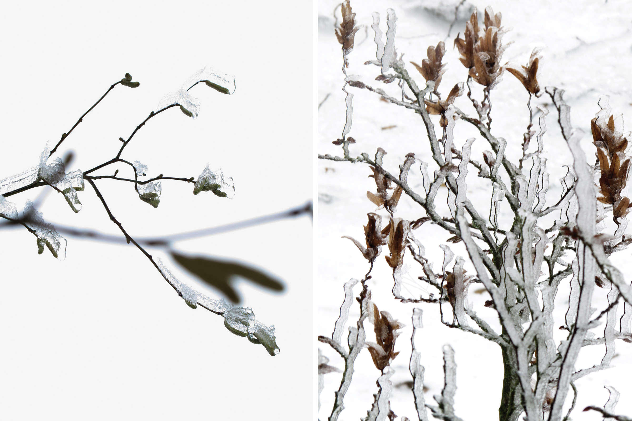 BARDULA - Blanc de Givre - image 4