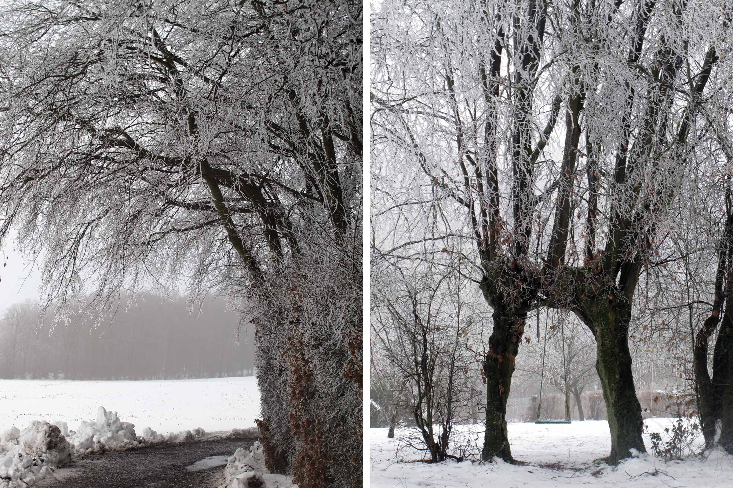 BARDULA - Blanc de Givre - image 2
