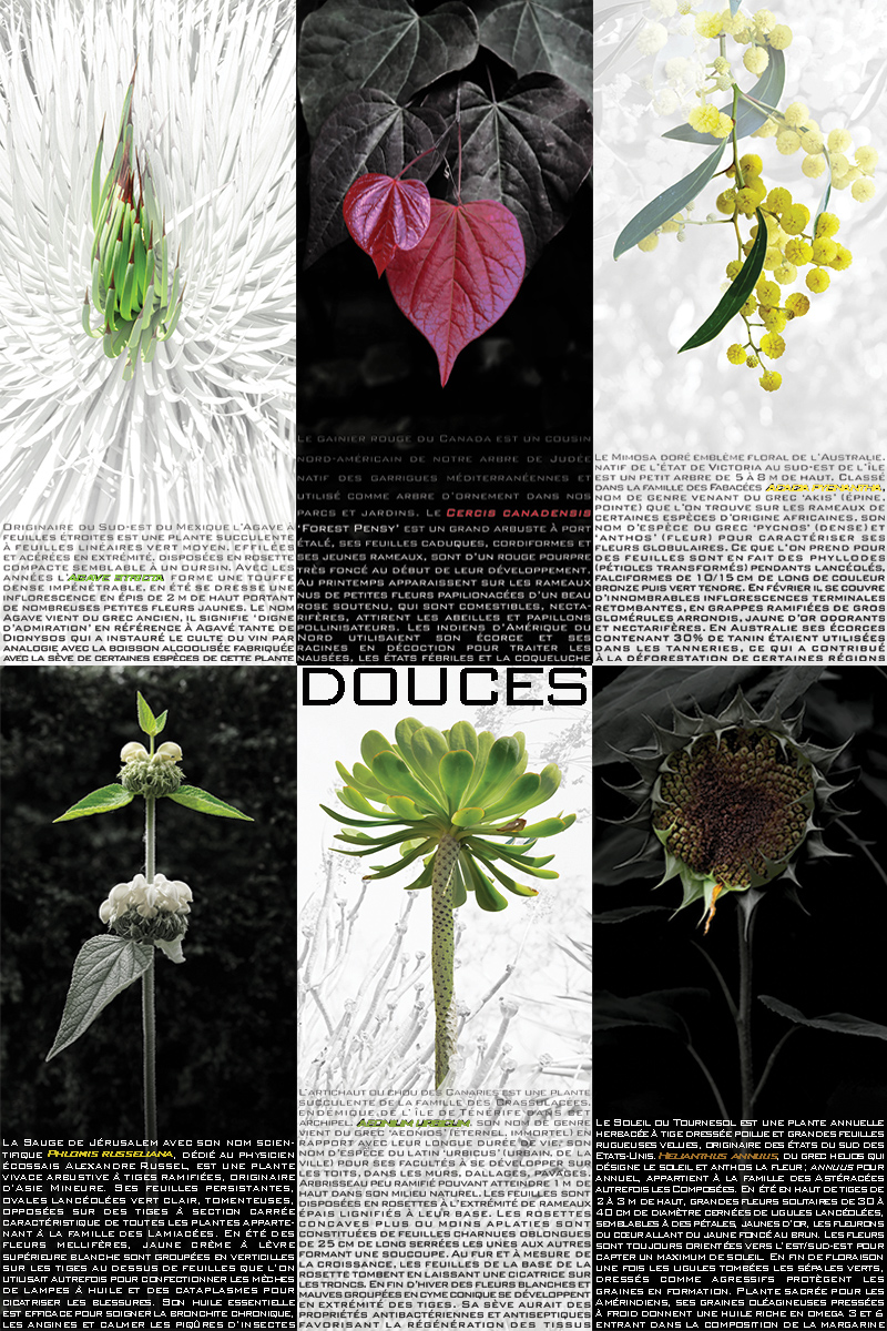 FEROCES ET DOUCES