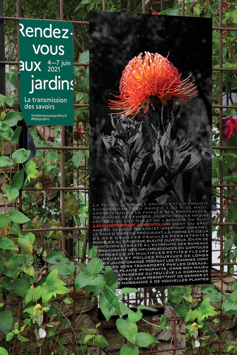 LES RENDEZ-VOUS AU JARDIN 2021