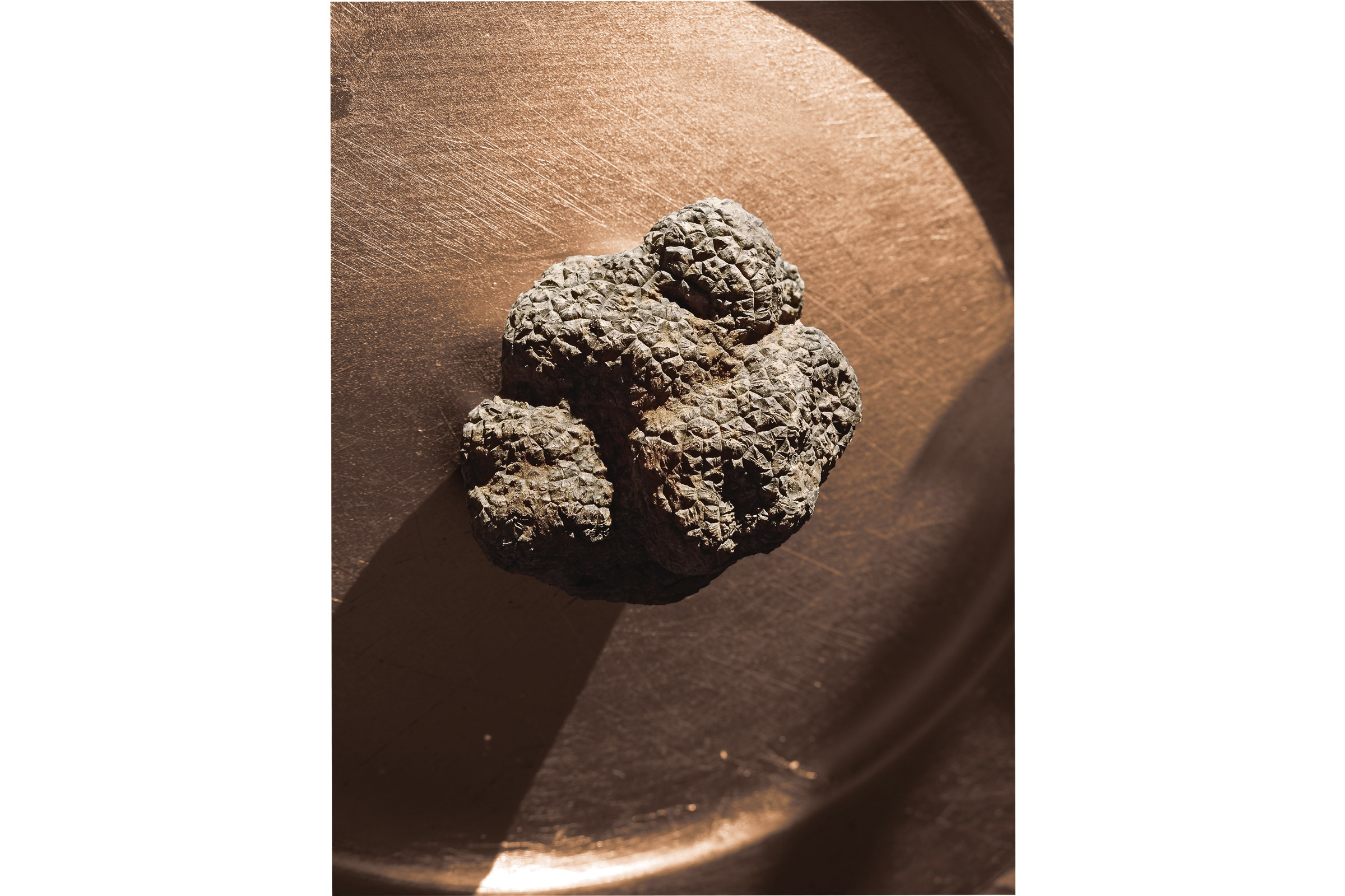 BARDULA - Truffes Noires - images 6